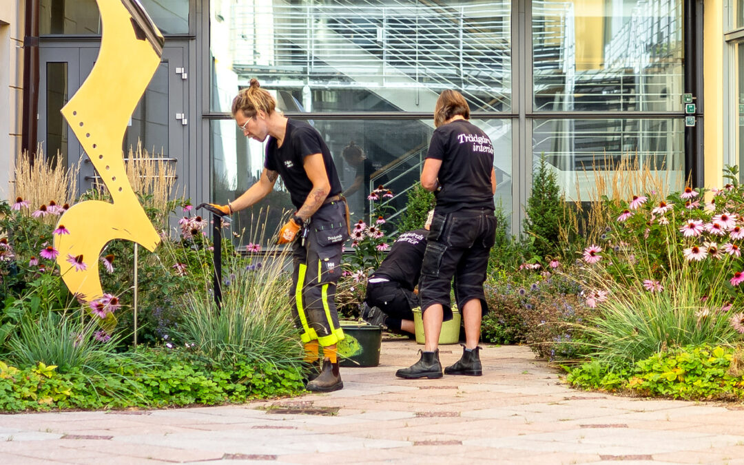 En Fjärdedelspaus i vardagslivet
